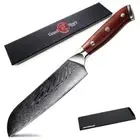 Full Tang Santoku Knife 67 Layers Japanese Damascus Steel VG10 Core Wood Handle