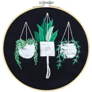 Embroidery Kit Cross Stitch Kit for Beginners