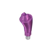 RB/WB SCREW-RETAINED ABUTMENT, ANGLED 17°, Ø 4.6MM, GH 5.5MM, TAN