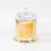 Freya & Sol Glass Cloche 600g Candle Tropical Bliss