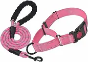 Dog Collar and Leash Set Martingale Collars for Dogs Reflective Martingale Collar for Small Medium Large Dogs(Medium Size)