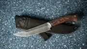 Knife Lesnik steel damascus handle wenge