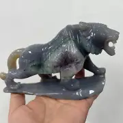 1.38LB Natural agate Quartz Carved tiger Skull Crystal healing Reiki Gem Decor