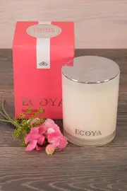 Madison Jar Guava & Lychee Sorbet--ECOY-MADI14