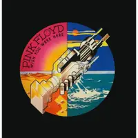 在飛比找蝦皮購物優惠-Pink Floyd - Wish You Were Her