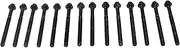 Engine Cylinder Head Bolt Set for Ford Falcon Fairlane Fairmont LTD AU DA DC EA EB EF EL NA NC NF NL XG XH 6cyl 3.9L 4.0L 1988 to 2003