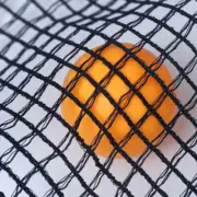 Convenient and Practical Table Tennis Replacement Net No Ball Included