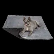 Itchy Witchy Soothing Dog Blanket With Essential Oils Black