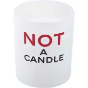 NOT A PERFUME by Juliette Has a Gun SCENTED CANDLE 6.35 OZ For WOMEN