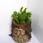 4 Artificial Plants Green Succulent Home Garden Decoration (#84)