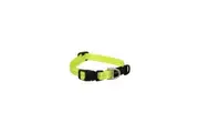 Rogz Yellow Small 11mm Wide x 20cm to 31cm Classic Utility Collar for Dogs & Puppies