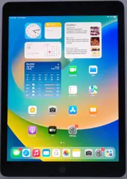 Apple Ipad 8th Generation A2270 10.2" Retina Touchscreen Tablet 32GB Wifi Space Grey W/Charger (Ex-Lease)