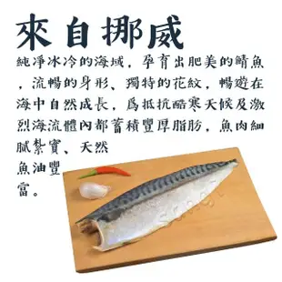 【賣魚的家】正宗肥美挪威鯖魚片10片組(200-220g/片)