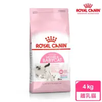 在飛比找momo購物網優惠-【ROYAL 法國皇家】離乳貓專用飼料 BC34 4KG(貓