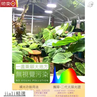 植物燈 多肉月季植物補光燈 綠植室內傢用 led蘭花生長燈 全光譜 夾燈 檯燈 燈管 補光燈 生長燈 花鳥蟲魚