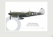 Warhead Illustrated P-40N Kittyhawk 80 Sq RAAF BU-G Aircraft Print