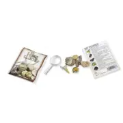 British Fossils Science Paleontology Model Dig Figures Kids My Fossil Collection