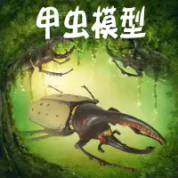 在飛比找Yahoo!奇摩拍賣優惠-林暢模玩兒童昆蟲玩具甲蟲模型長戟大兜蟲毛象南陽金龜子仿真動物