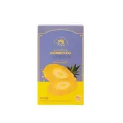 Kombucha - 10 Types Pineapple