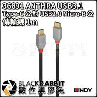 在飛比找Yahoo!奇摩拍賣優惠-數位黑膠兔【 林帝 36891 ANTHRA USB3.1T