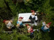 Dwarf Figurine on pick set 5 randomly selected MR Miniature Fairy Garden Gnome