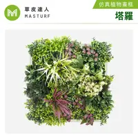 在飛比找momo購物網優惠-【草皮達人】仿真植物掛畫-塔羅(人工草、人造花、掛畫、植物牆