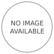 Genuine Salvas MUDBOSS SPEC 2024 CLEAR BODY NEW STYLE PreCut Dirt Modified Clear