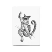 Lemur Detailed Drawing Animal Wall Art