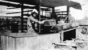 1920-1930 Dipping grapes on block 332 at Red Cliffs Australia OLD PHOTO