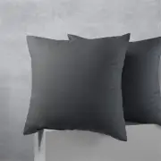 Accessorize European Cotton Polyester Charcoal Pillowcases Set of 2