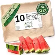 Chic Leaf All Natural Compostable & Disposable Rectangular Palm Leaf Platter for 4th of July - Bamboo Platter Serving Trays for Party Appetizers - Charcuterie Board - Bamboo Plates (10" x 14", 10 pc)