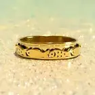 Silver Fish Spinner Ring - Unique Fidget Band for Stress Relief Unisex Ring