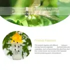 Fruit Fly Trap Killer Yellow Plastic Drosophila Trap Anti Z4Y6 J5Q9 Fruit F D2P1
