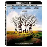 在飛比找樂天市場購物網優惠-【停看聽音響唱片】【BD】大智若魚 雙碟限定版『4K』