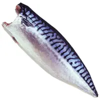 在飛比找PChome24h購物優惠-【食在幸福】挪威深海薄鹽鯖魚片20包(190g/包)