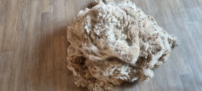 Rockleigh Alpacas - Alpaca Fleece - White - Gypsie - 1200g