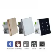 Blue-tooth Home In Wall Amplifier Support USB/SD Card Panel Stereo Sound Player