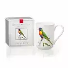 Jeremy Boot RAINBOW LORIKEET Birds of Australia Boxed Fine China Coffee Mug Cup