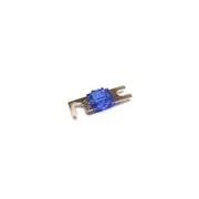 Victron MIDI-Fuse 30A-200A 32V-58V, 1-5 Pack