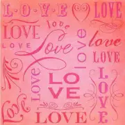 12" Smitten Love Paper Scrapbook 12p K&Co WHOLESALE Wedding Invitation Embossed