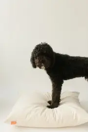 Organic Woffle™ dog bed made with safe, natural Kapok cotton washable Sz LRG