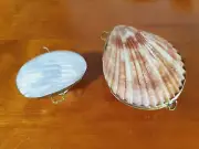 2xGenuine Seashell Trinket Box Hinged Shell Clam Jewelry case pendant for DIY