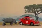 Reissue Corgi 256 Volkswagen 1200 in East African Safari trim