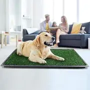 Cestavie Artificial Grass Puppy Pee Pad for Dogs and Small Pets Training Potty Pad with Tray (20" x 25")