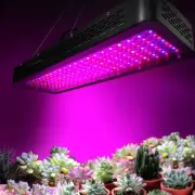 LED Grow Light Hydroponic Full Spectrum Indoor Growing Plant Veg Lamp 2000W