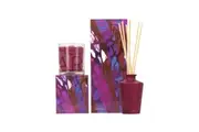 The Aromatherapy Co. SOL Home Fragrance Burnished Cedar Candle + Diffuser Set