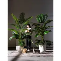 在飛比找ETMall東森購物網優惠-大型高端輕奢散尾葵仿真綠植仿生假樹鳳尾竹植物室內熱帶造景裝飾