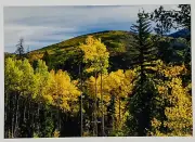Scenic Greeting Card Holy Cross Wilderness Colorado Springtime Trees Nature P3