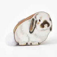 在飛比找誠品線上優惠-FELISSIMO小兔收納包/ 荷蘭垂耳兔