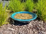 Solar Powered Water Features